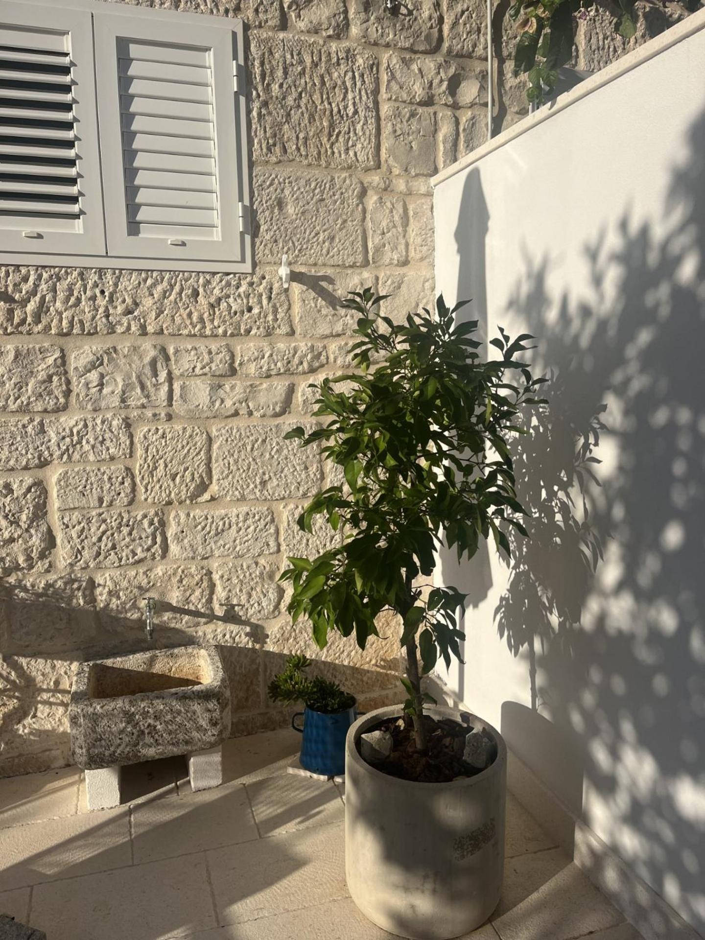 Apartment On The Sunny Side 科尔丘拉 外观 照片
