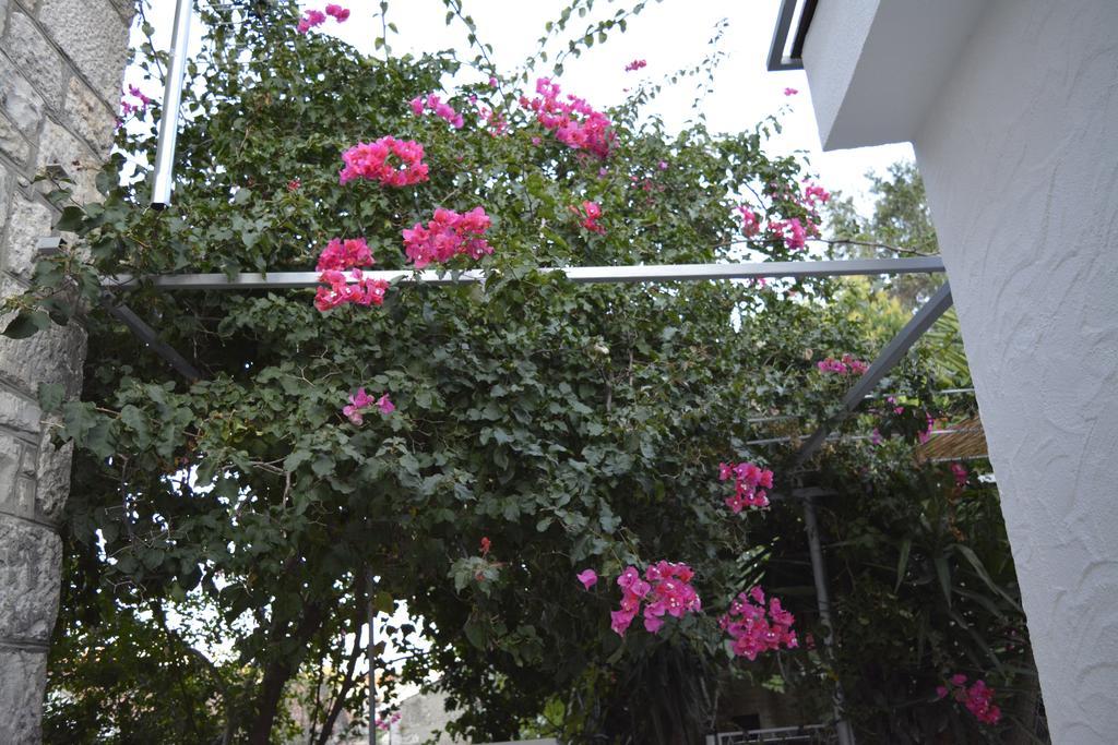 Apartment On The Sunny Side 科尔丘拉 外观 照片